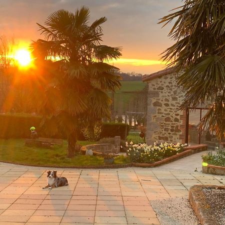 La Basse Monniere Bed & Breakfast Sevremont Ngoại thất bức ảnh